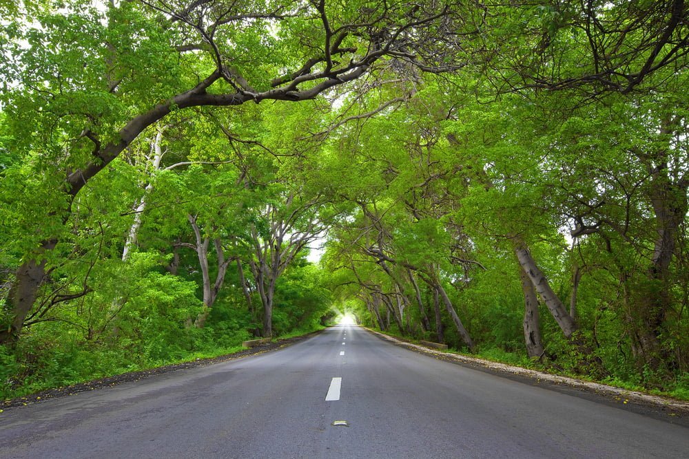 De weg naar Westpunt op Curacao