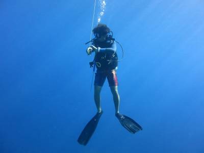 diver-scuba-blue-1430226.jpg diver-scuba-blue-1430226.jpg