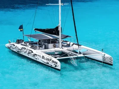 Black & White Catamaran Klein Curacao
